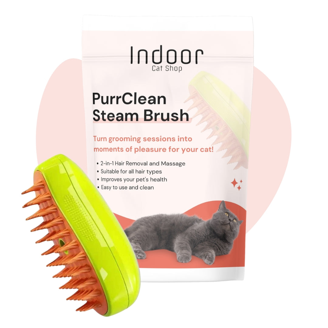 PurrClean Steam Brush